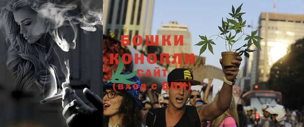 крисы Белоозёрский