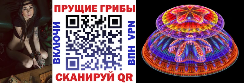 Псилоцибиновые грибы Psilocybe  Ворсма 